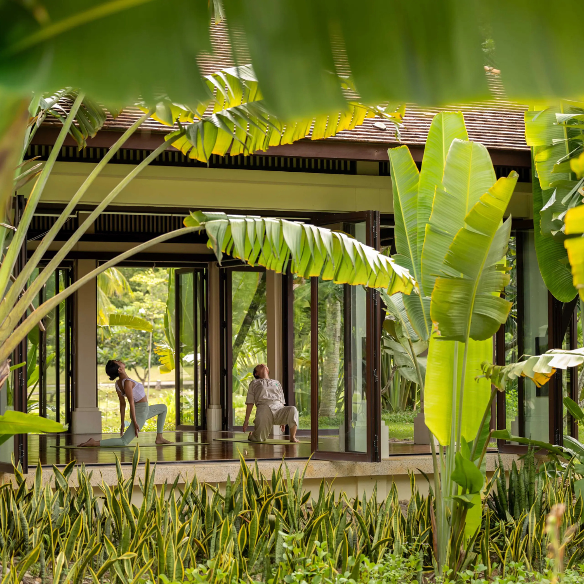 Discover Wellness & Serenity — Welcome Zen Vacation to Travelstride